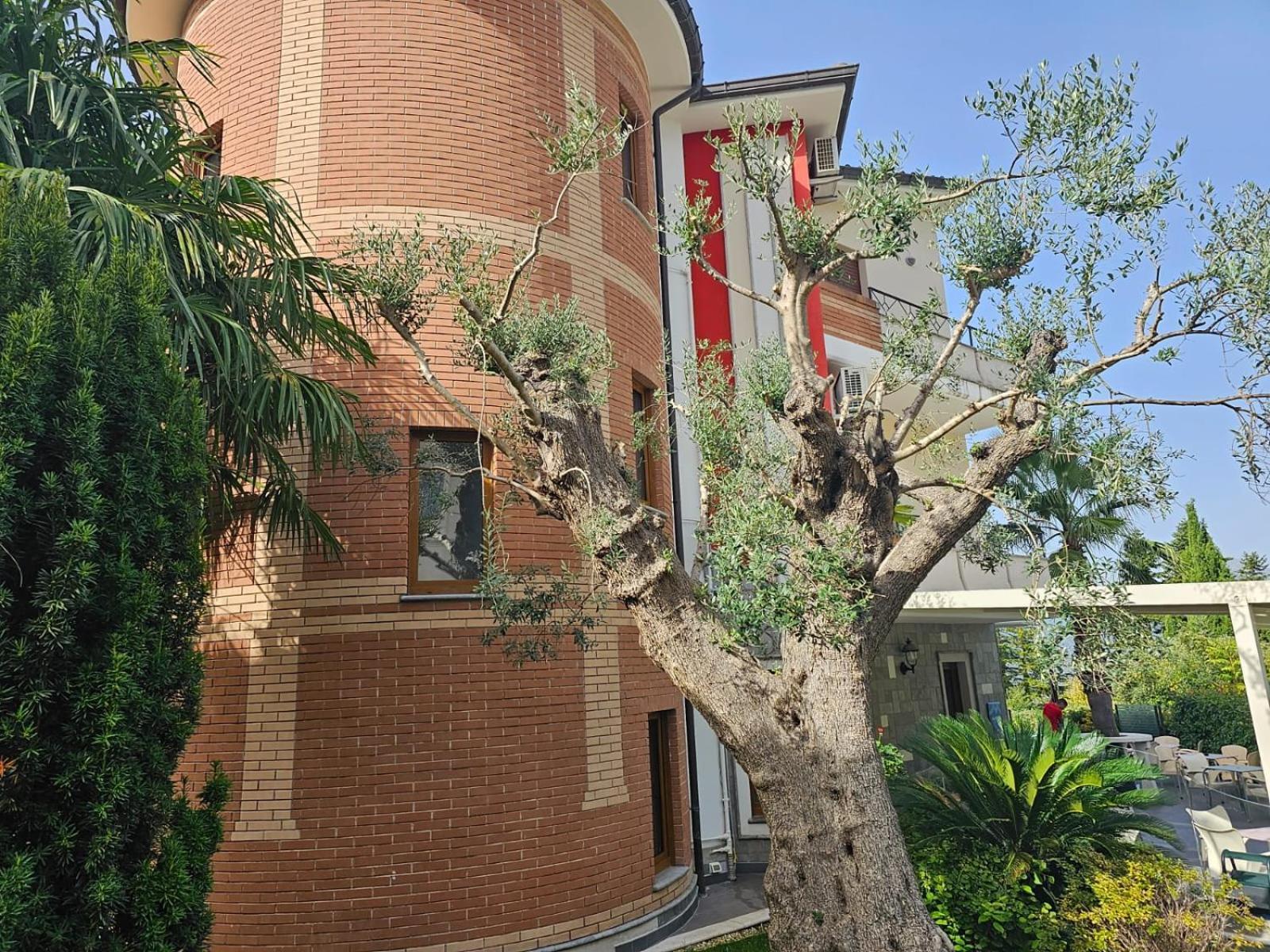 Hotel Sirio Rotonda Exterior photo